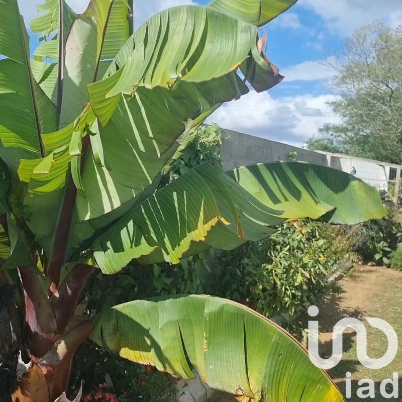 Maison - 163 m² - 6 pièces