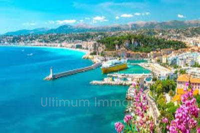 Appartement - 89 m² - 5 pièces