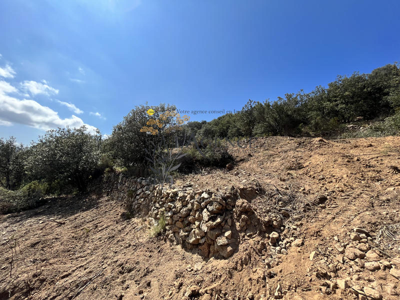 Terrain - 12 044 m²