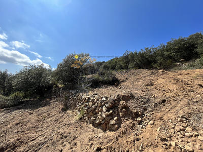 Terrain - 12 044 m²