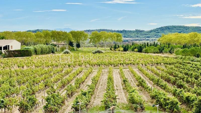 Maison en pierre - 185 m² - 12 pièces