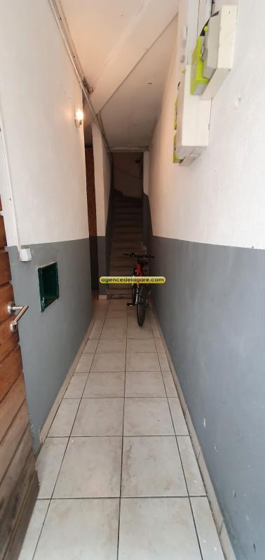 Studio - 36 m² - 1 pièce