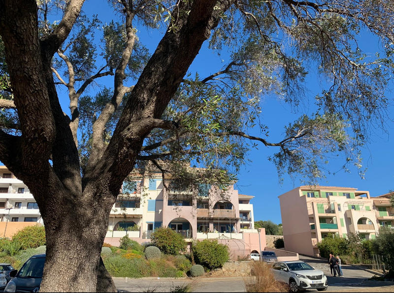 Appartement - 59 m² - 4 pièces