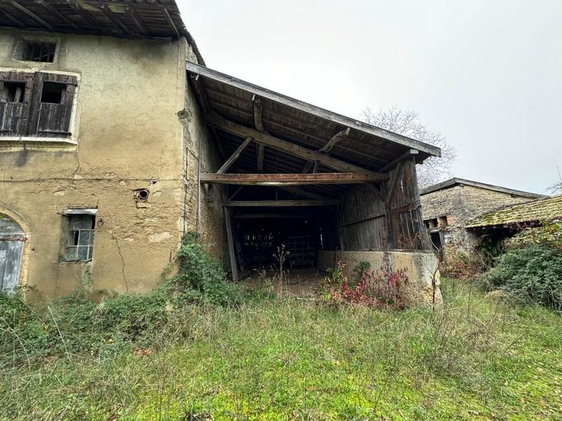 Terrain - 98 000 m²