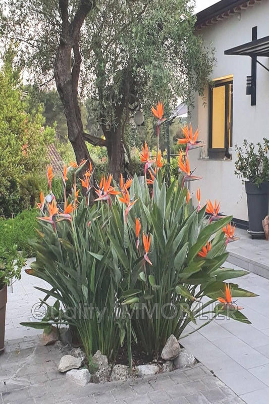 Maison contemporaine - 172 m²