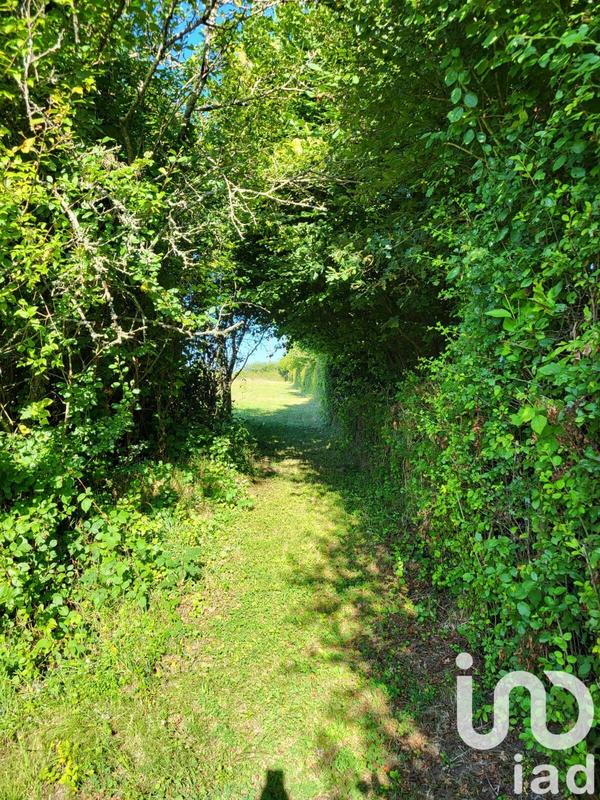 Maison de campagne - 136 m² - 7 pièces