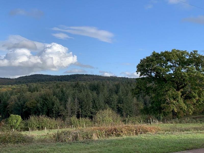 Maison ancienne - 80 m² - 4 pièces