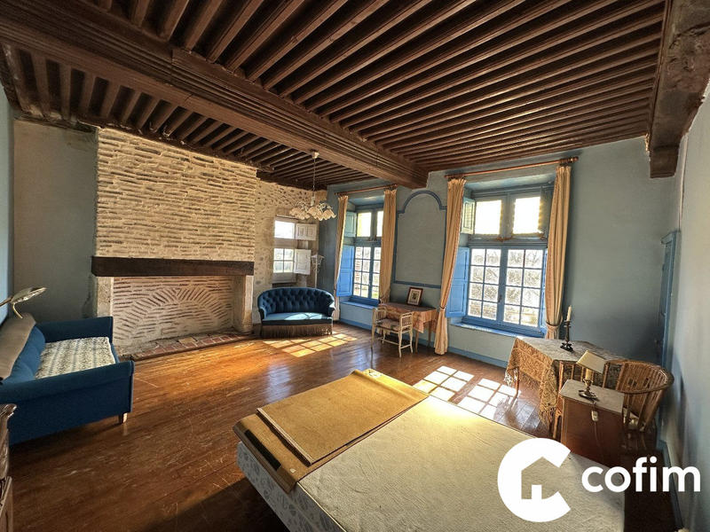 Château - 374 m² - 9 pièces