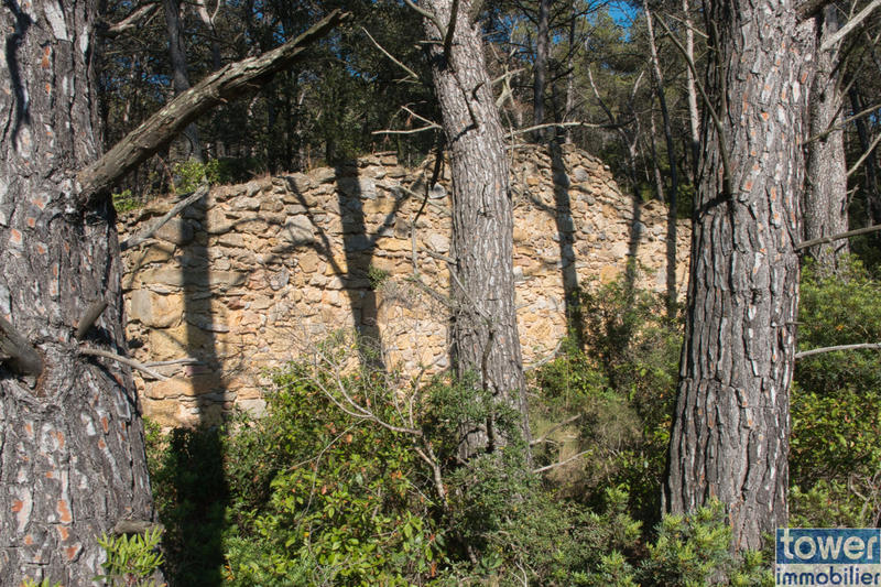 Terrain de loisirs - 42 302 m²