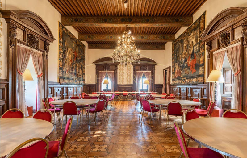 Château - 2 882 m² - 40 pièces
