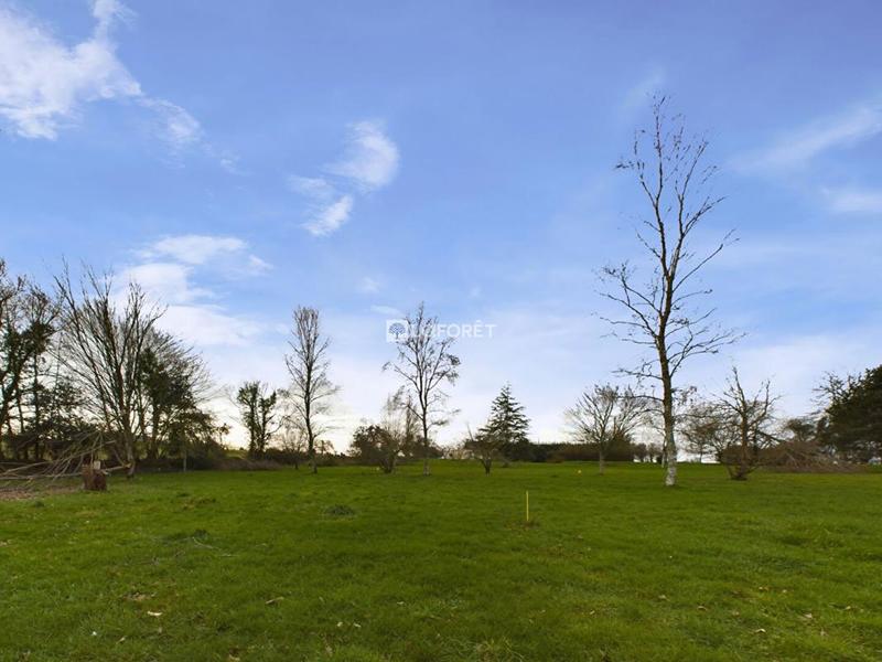 Terrain constructible - 1 627 m²