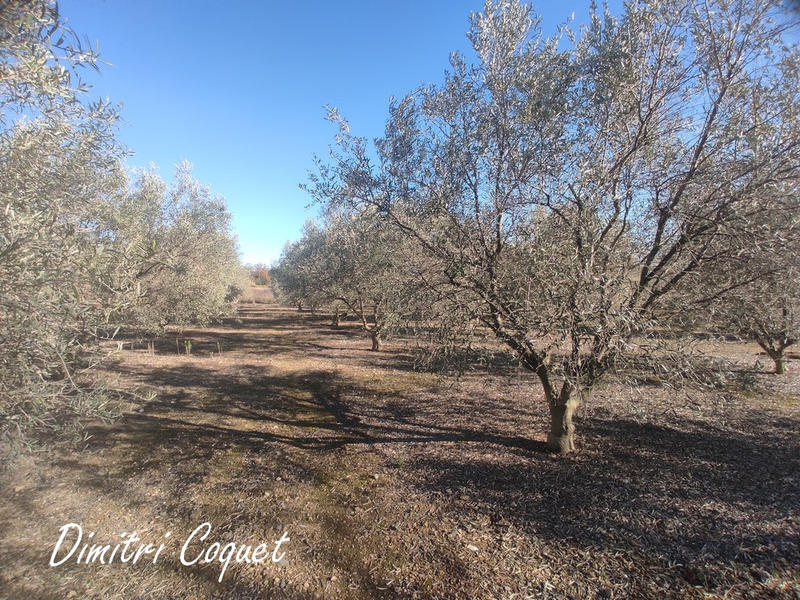 Terrain agricole - 3 000 m²