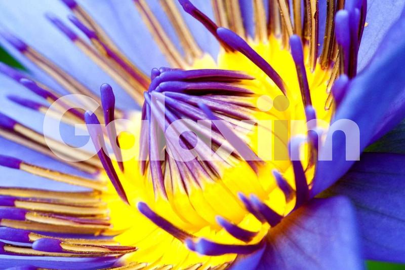 Fonds de commerce - Magasins - 55 m²