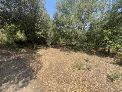 Terrain de loisirs - 10 100 m²