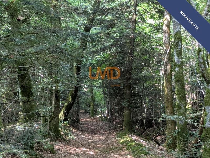 Maison en pierre - 60 m² - 2 pièces