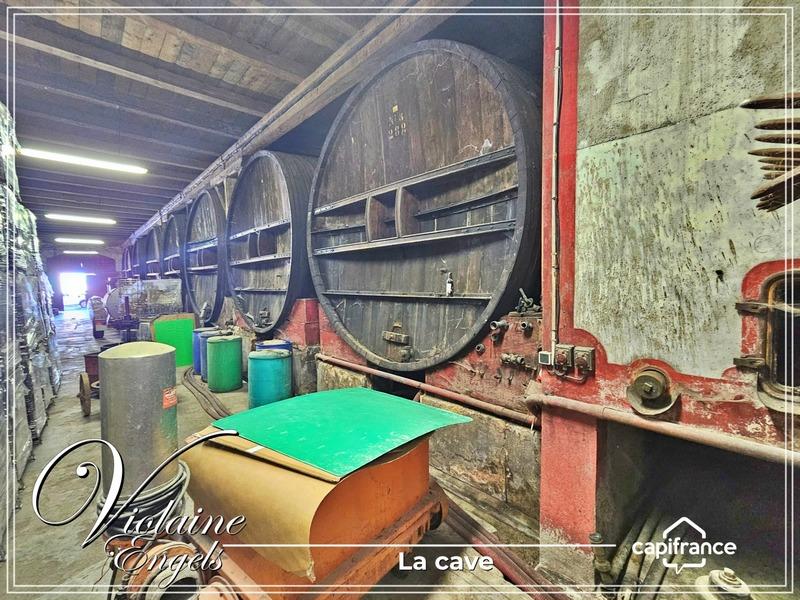 Propriété - 500 m² - 10 pièces