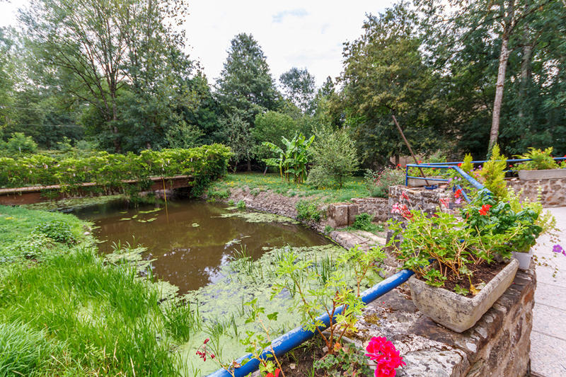 Moulin - 297 m² - 13 pièces