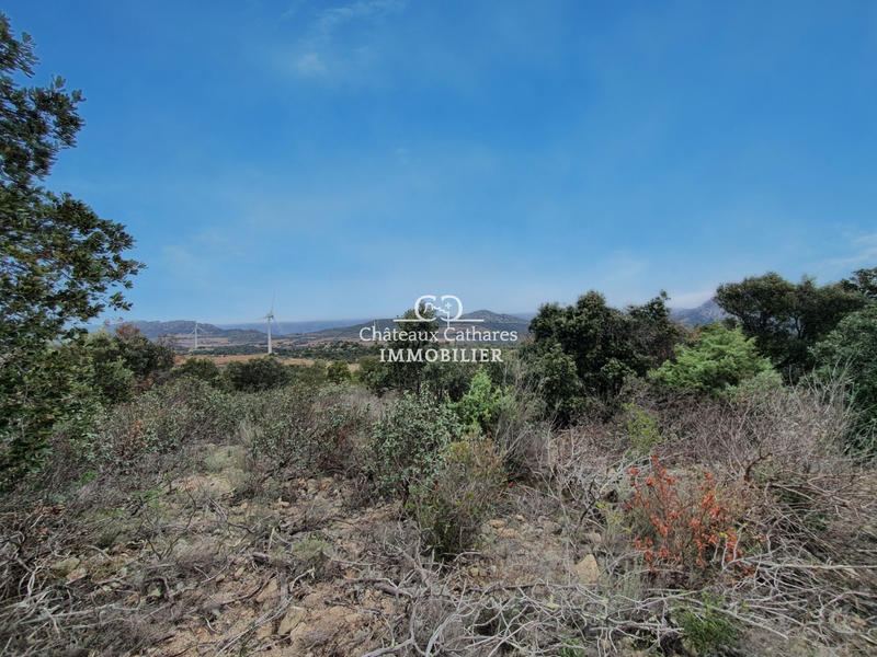 Terrain agricole - 31 187 m²