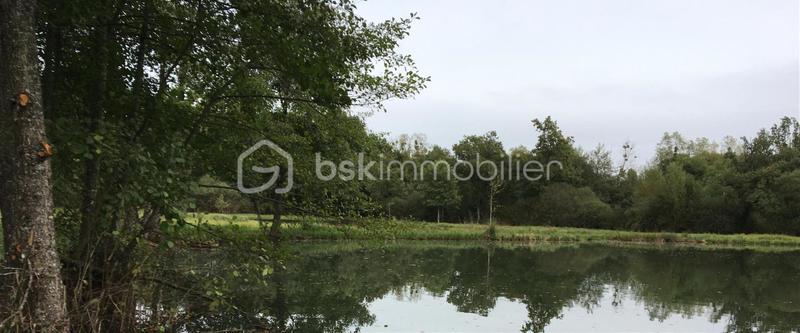 Terrain de loisirs - 26 062 m²