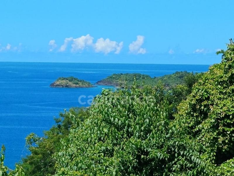 Terrain constructible - 4 516 m²