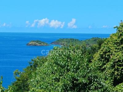 Terrain constructible - 4 516 m²