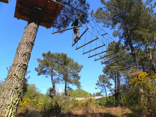 Parcours Aventure 'Vivons Perchés'