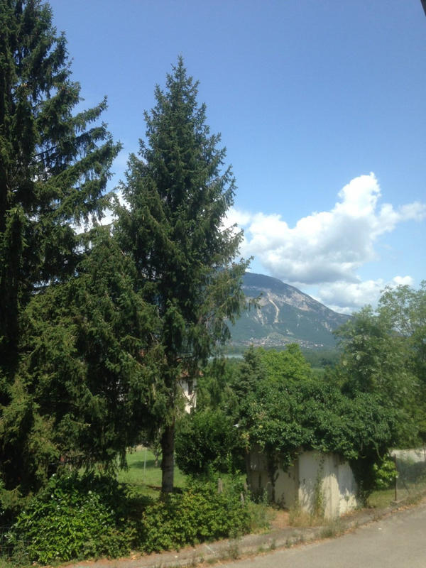 Maison - 250 m² - 7 pièces