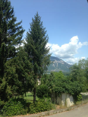 Maison - 250 m² - 7 pièces