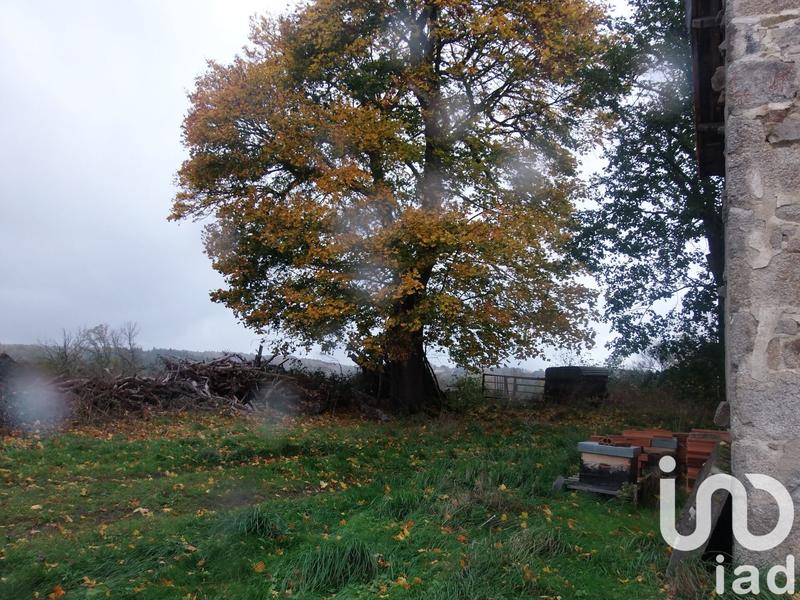 Ferme - 100 m² - 2 pièces