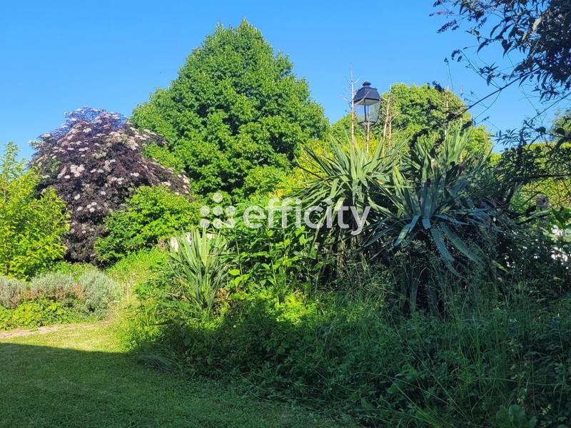 Maison - 230 m² - 7 pièces