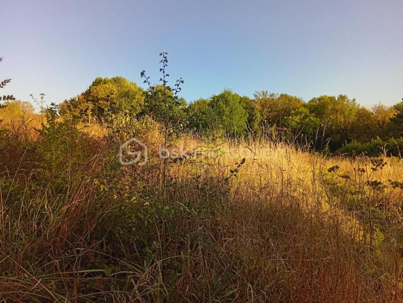 Terrain de loisirs - 2 729 m²