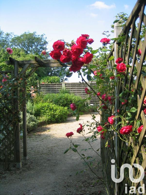 Château - 550 m² - 12 pièces