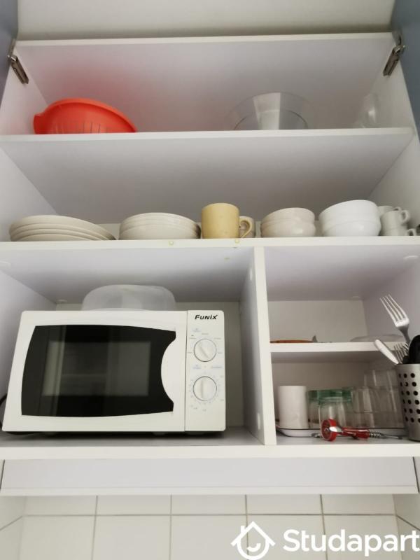 Appartement - 19 m² - 1 pièce