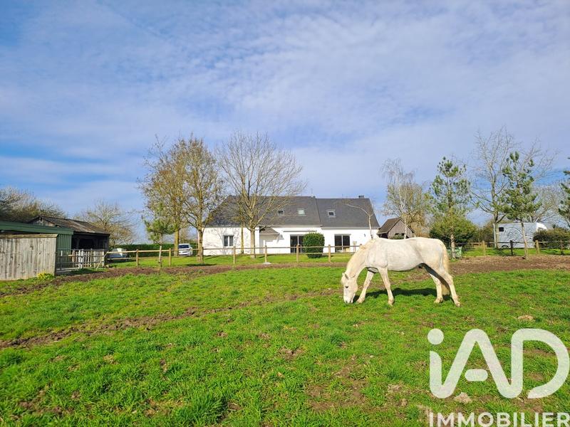 Maison - 175 m² - 6 pièces