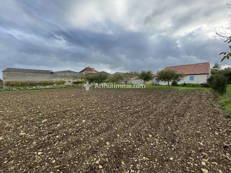 Terrain - 2 491 m²