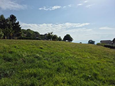 Terrain - 3 950 m²