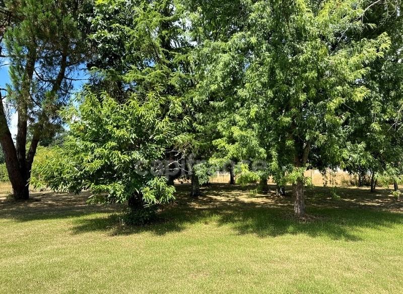 Demeure - 254 m² - 9 pièces