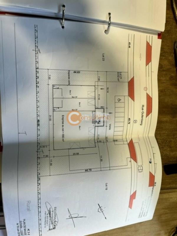 Local d'activité / Entrepôt - 720 m²