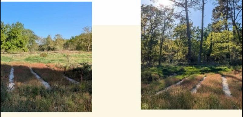 Terrain - 31 811 m²