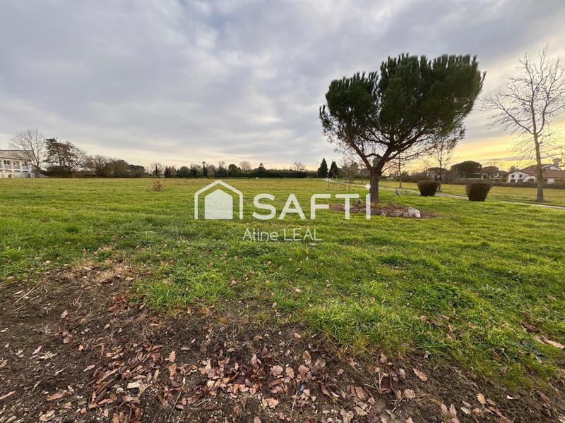 Terrain - 11 988 m²