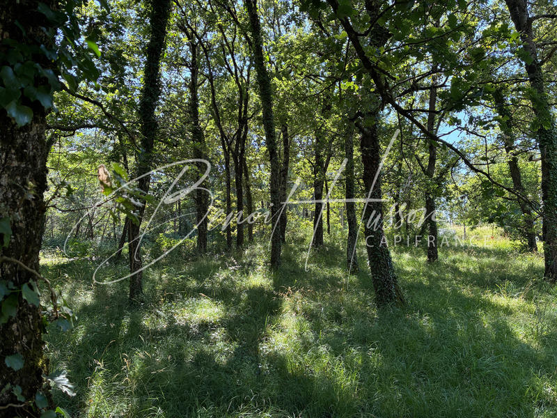 Terrain constructible - 1 700 m²