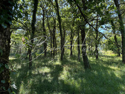 Terrain constructible - 1 700 m²