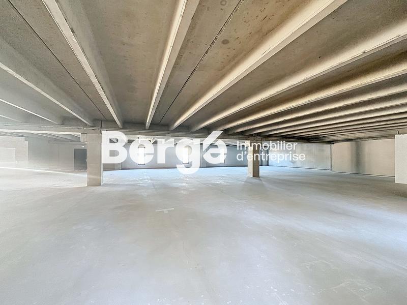 Entrepôt - 2 455 m²