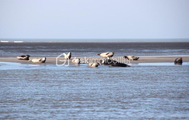 Appartement - 22 m² - 1 pièce