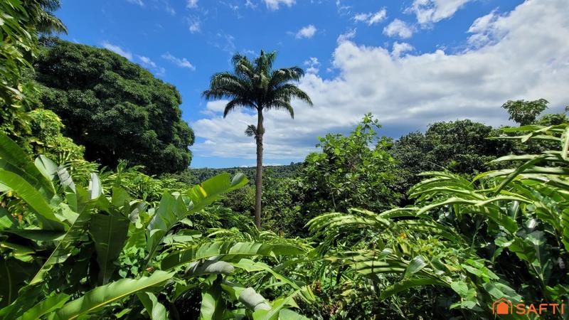 Local commercial - 700 m² - 19 pièces