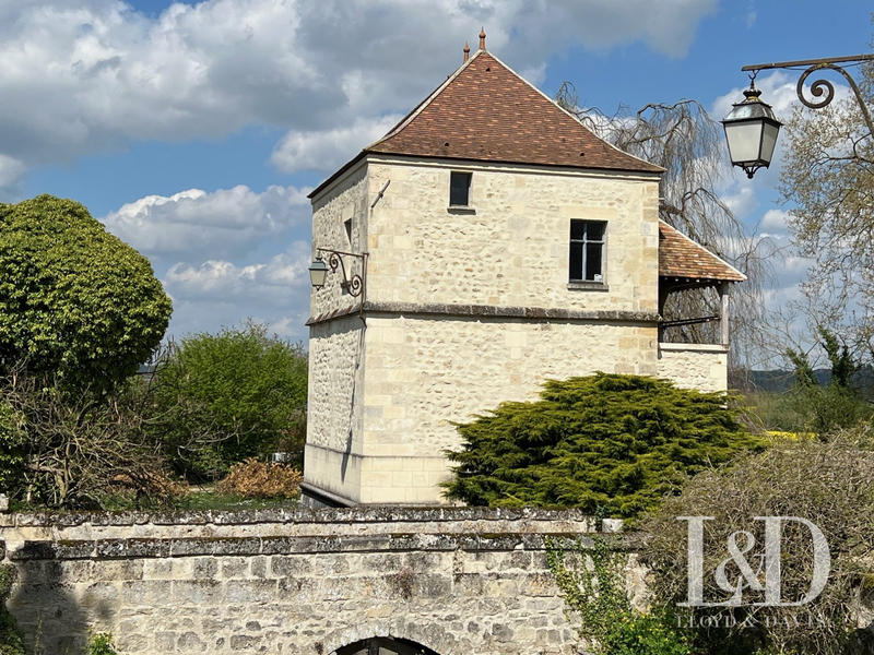 Château - 450 m² - 14 pièces