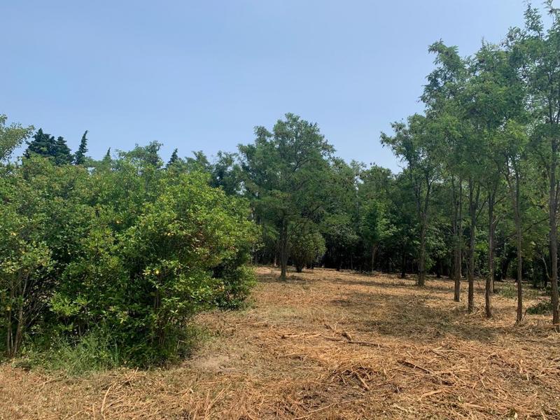 Terrain constructible - 528 m²