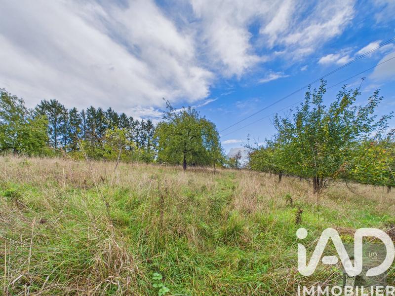 Maison - 230 m² - 8 pièces