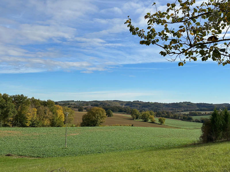 Terrain constructible - 2 694 m²