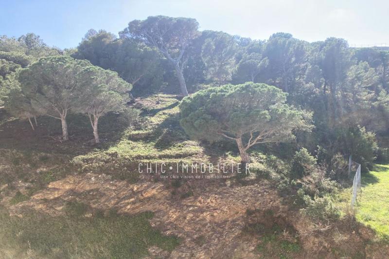 Appartement - 55 m² - 2 pièces